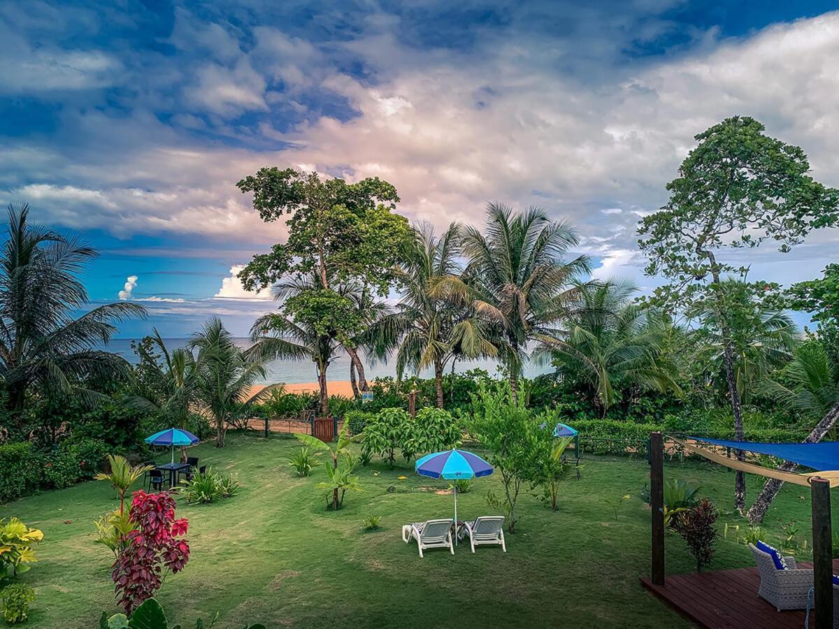 Oasis Bluff Beach Bocas del Toro Exterior foto