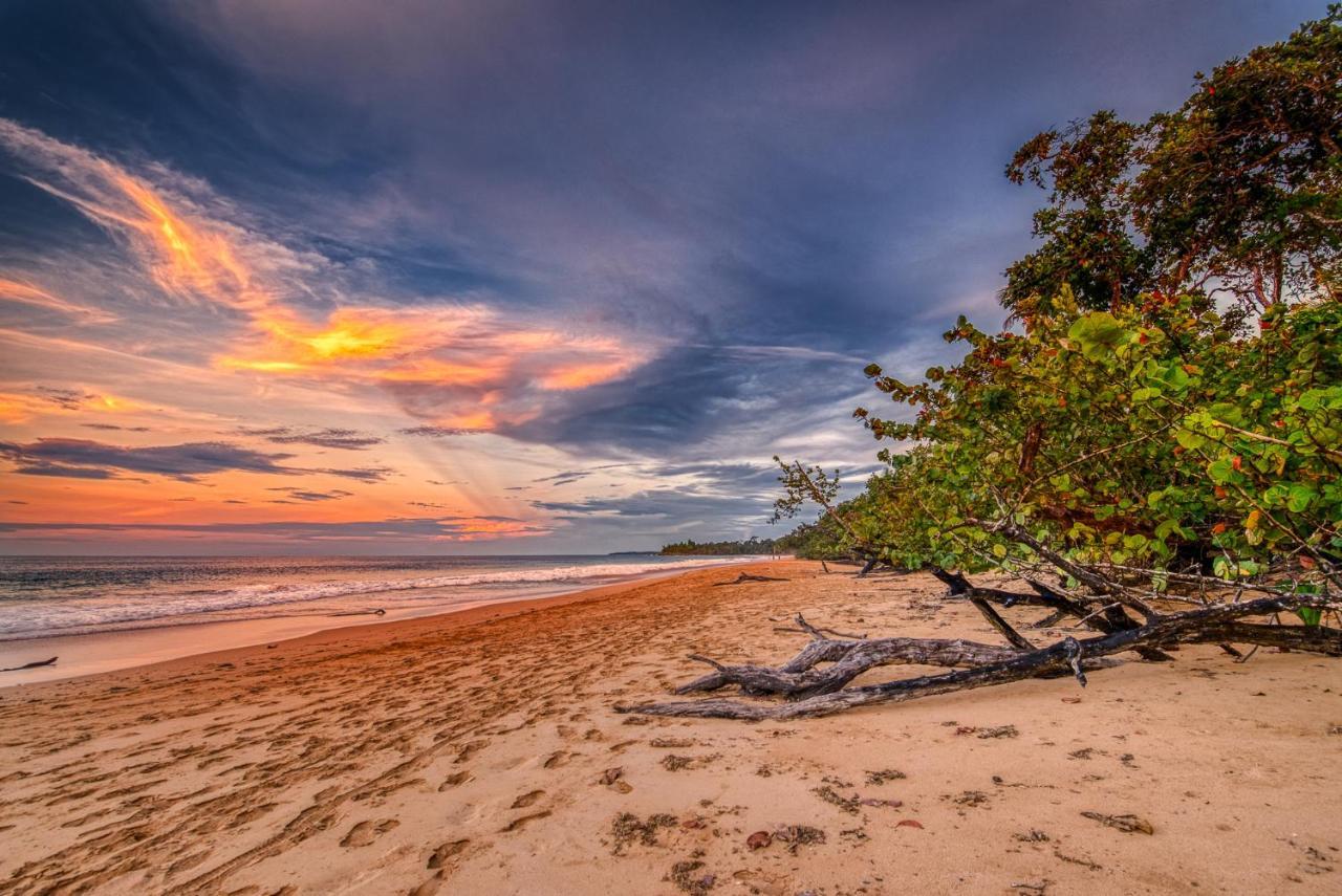 Oasis Bluff Beach Bocas del Toro Exterior foto