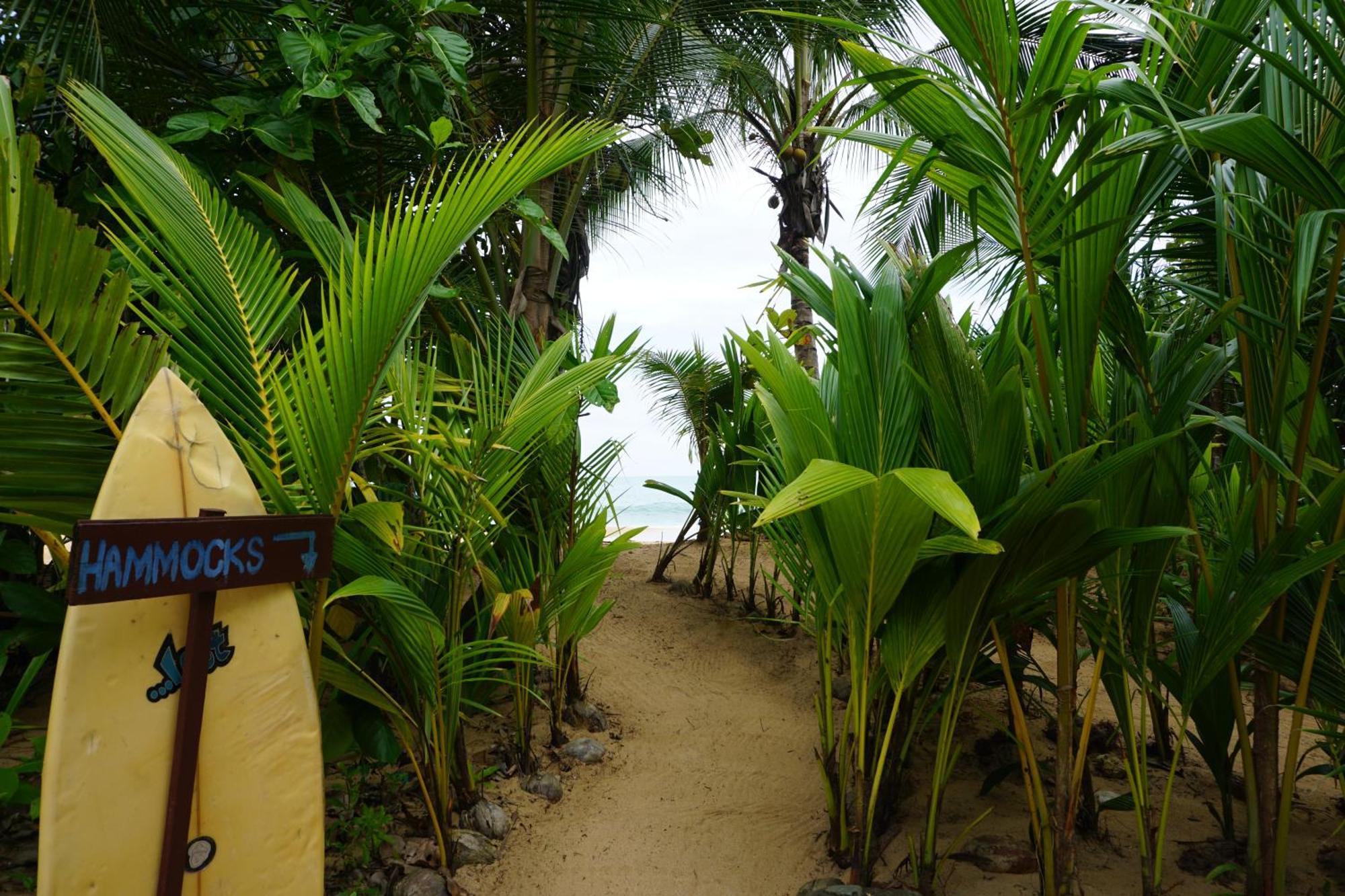 Oasis Bluff Beach Bocas del Toro Exterior foto