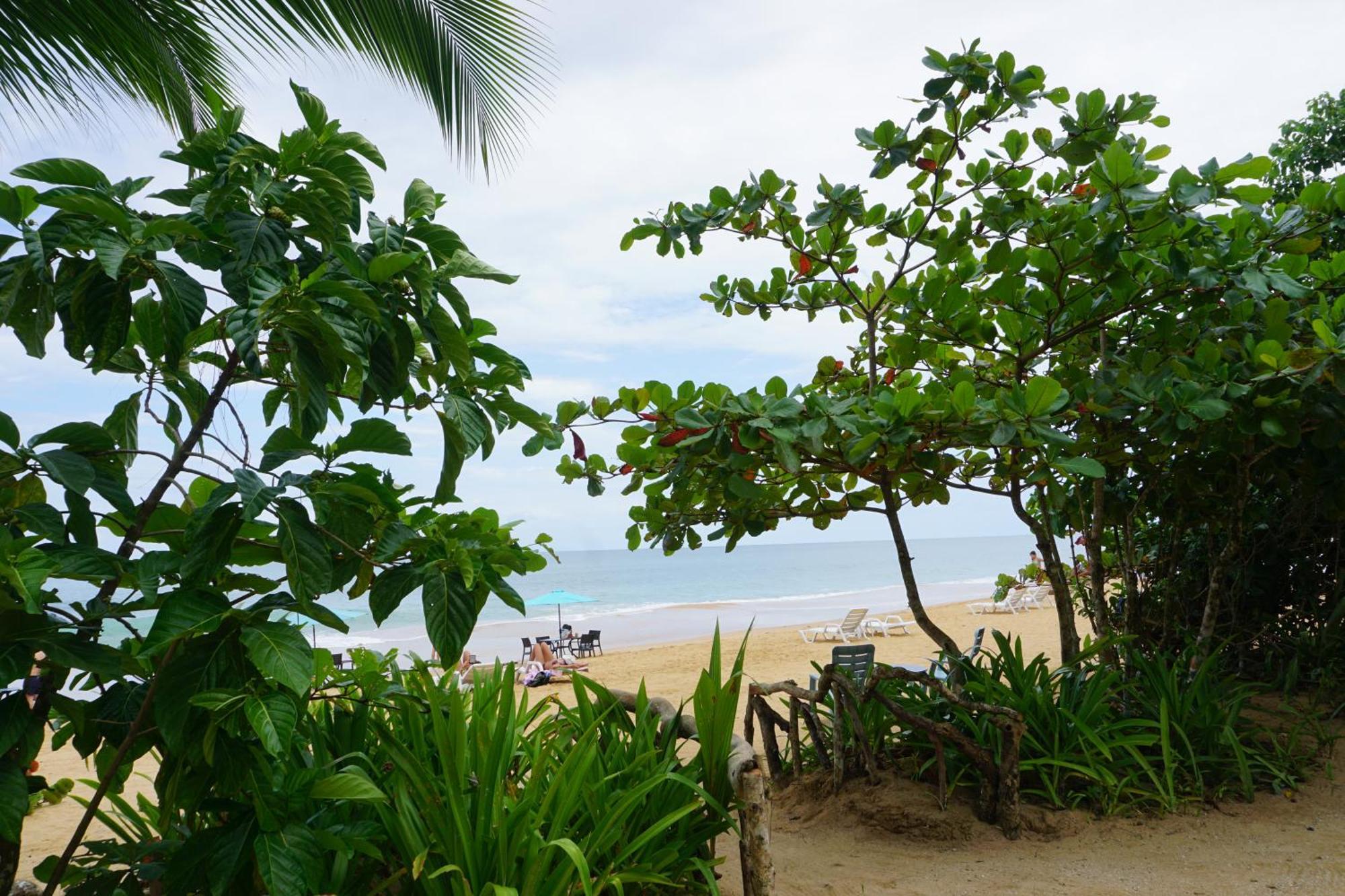 Oasis Bluff Beach Bocas del Toro Exterior foto