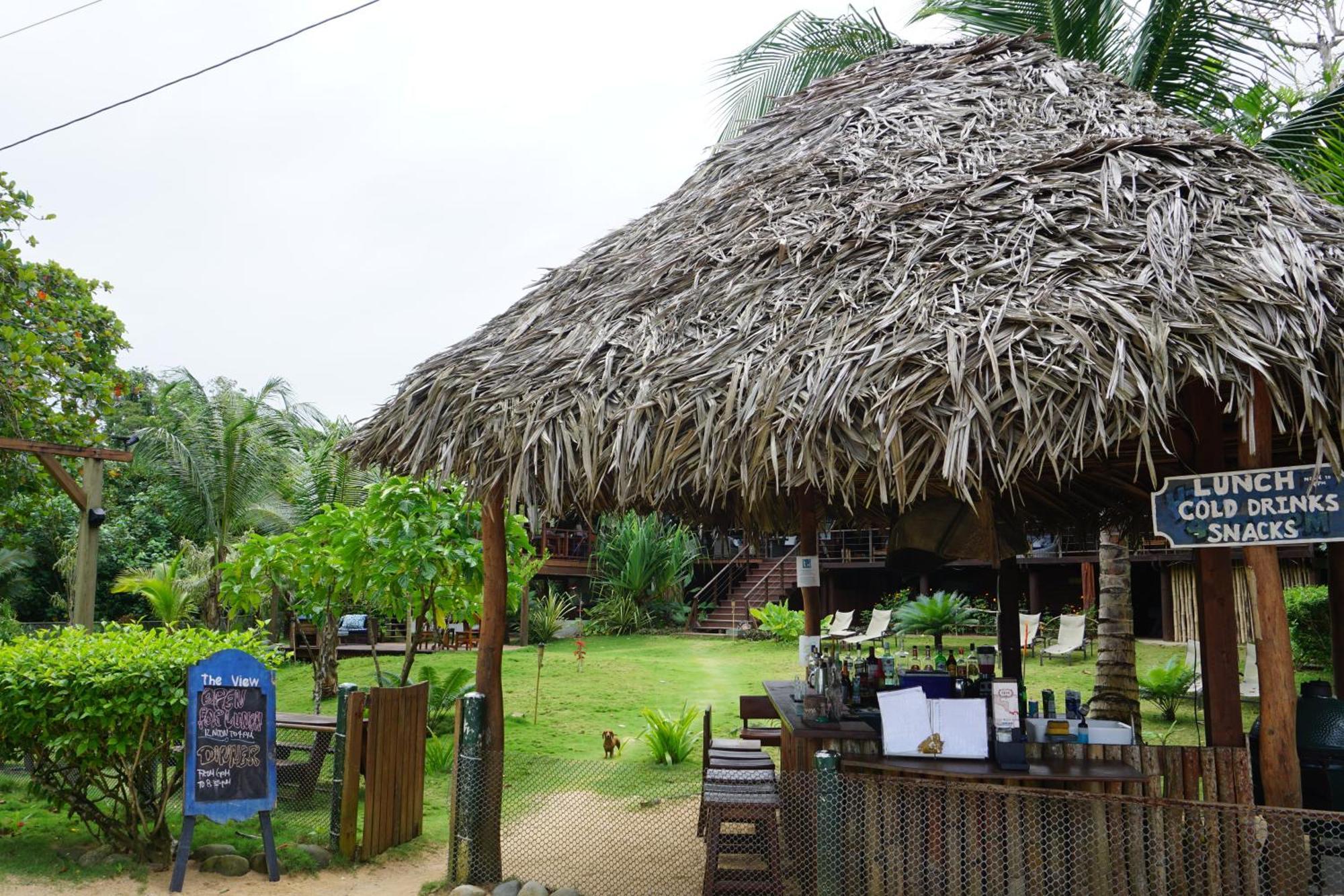 Oasis Bluff Beach Bocas del Toro Exterior foto