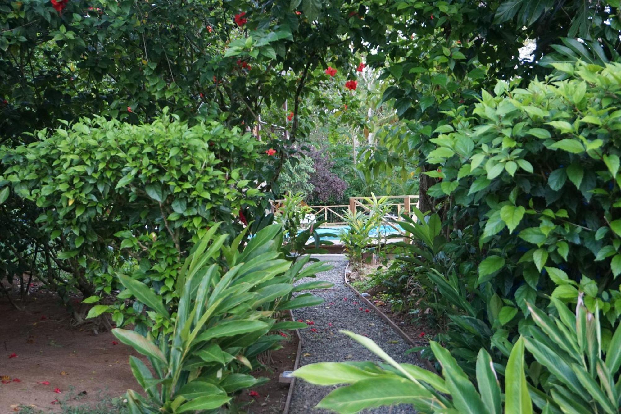 Oasis Bluff Beach Bocas del Toro Exterior foto